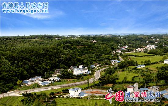 甘家沟全景